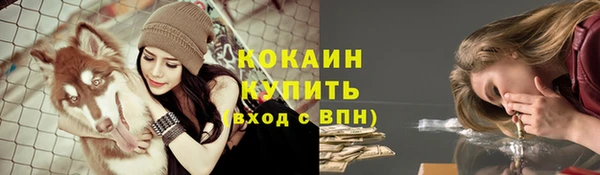 шишки Заволжск