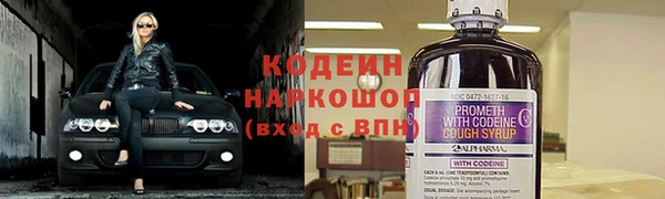 прущие крисы Заводоуковск