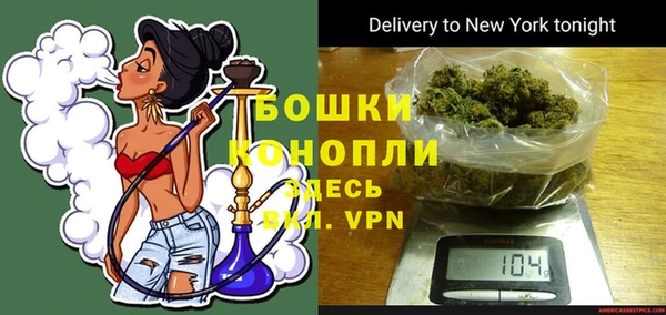 прущие крисы Заводоуковск