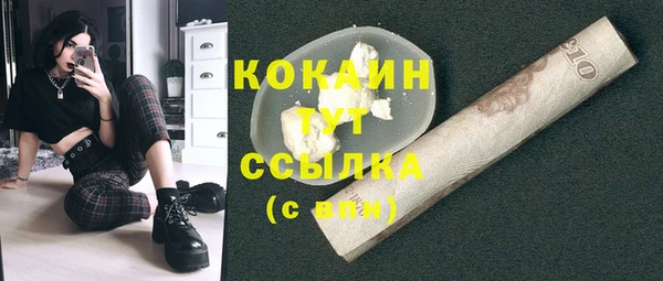 прущие крисы Заводоуковск