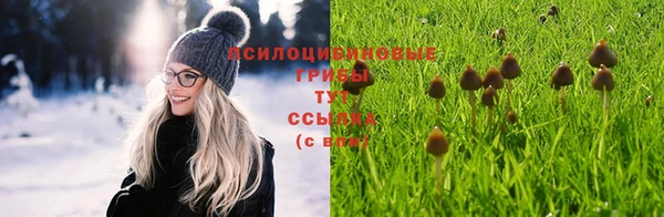 гидра Заволжье