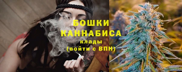 гидра Заволжье